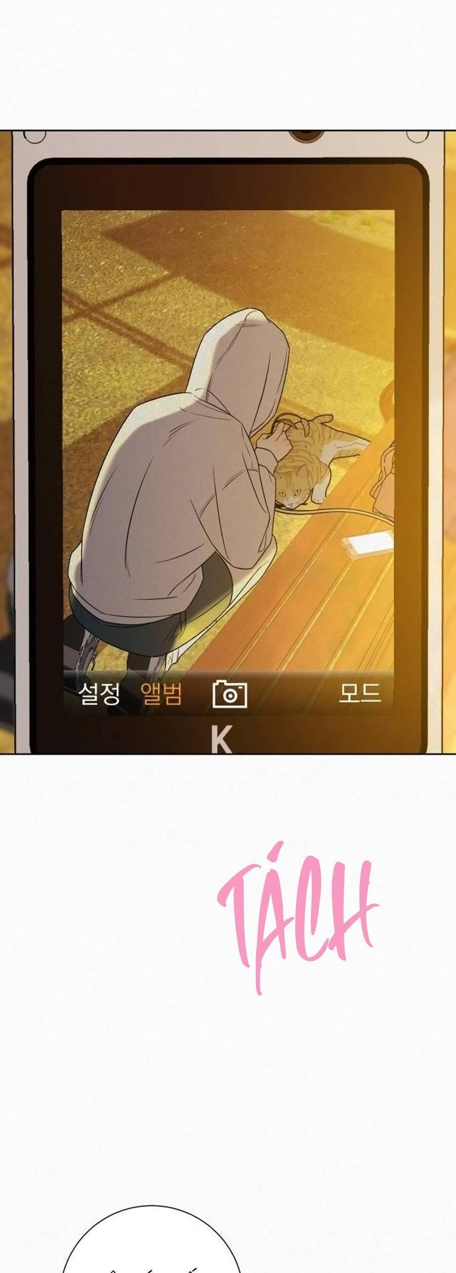 Chiến Lược: Tình Yêu Trong Sáng Chapter 99 - 24