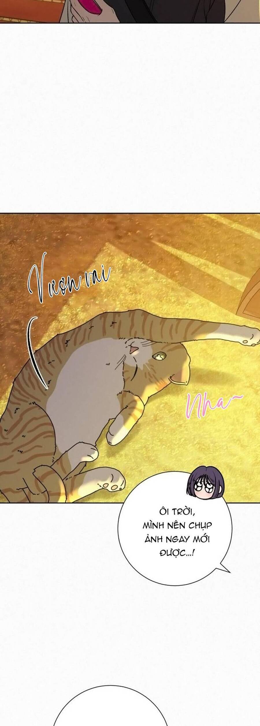 Chiến Lược: Tình Yêu Trong Sáng Chapter 99 - 26