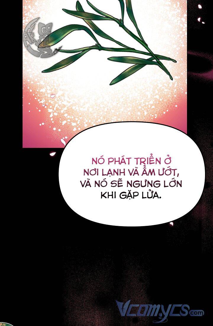 Chủ Nhân Cô Nhi Viện Muốn Nghỉ Ngơi Chapter 48 - 100