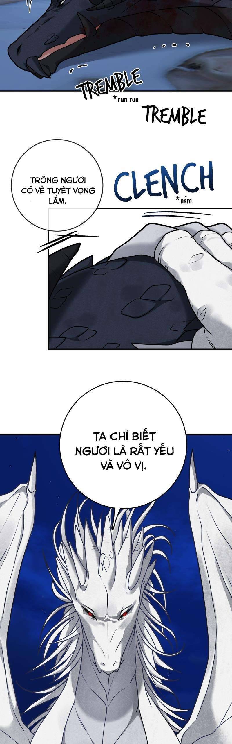 Nhật Ký Tuần Trăng Mật Của Phù Thủy Và Rồng Chapter  111 - 20