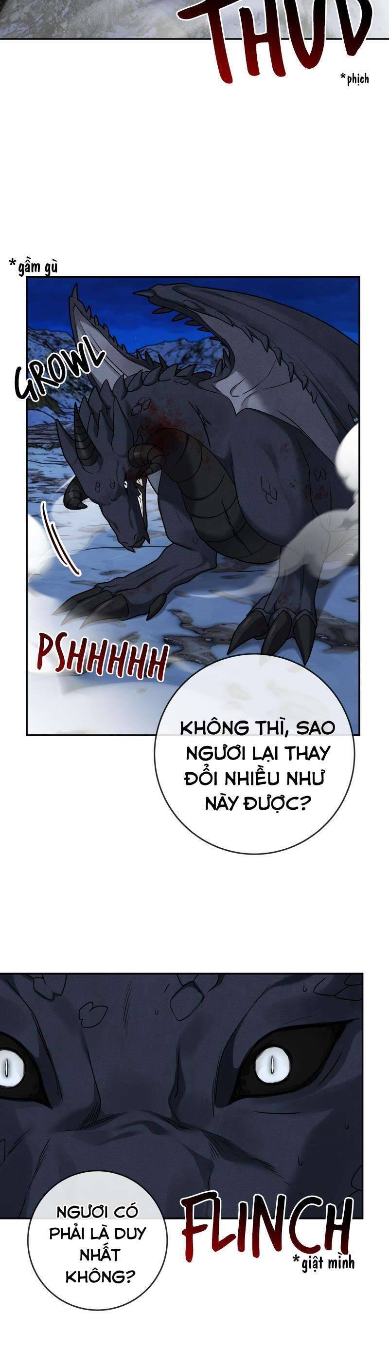 Nhật Ký Tuần Trăng Mật Của Phù Thủy Và Rồng Chapter  111 - 25