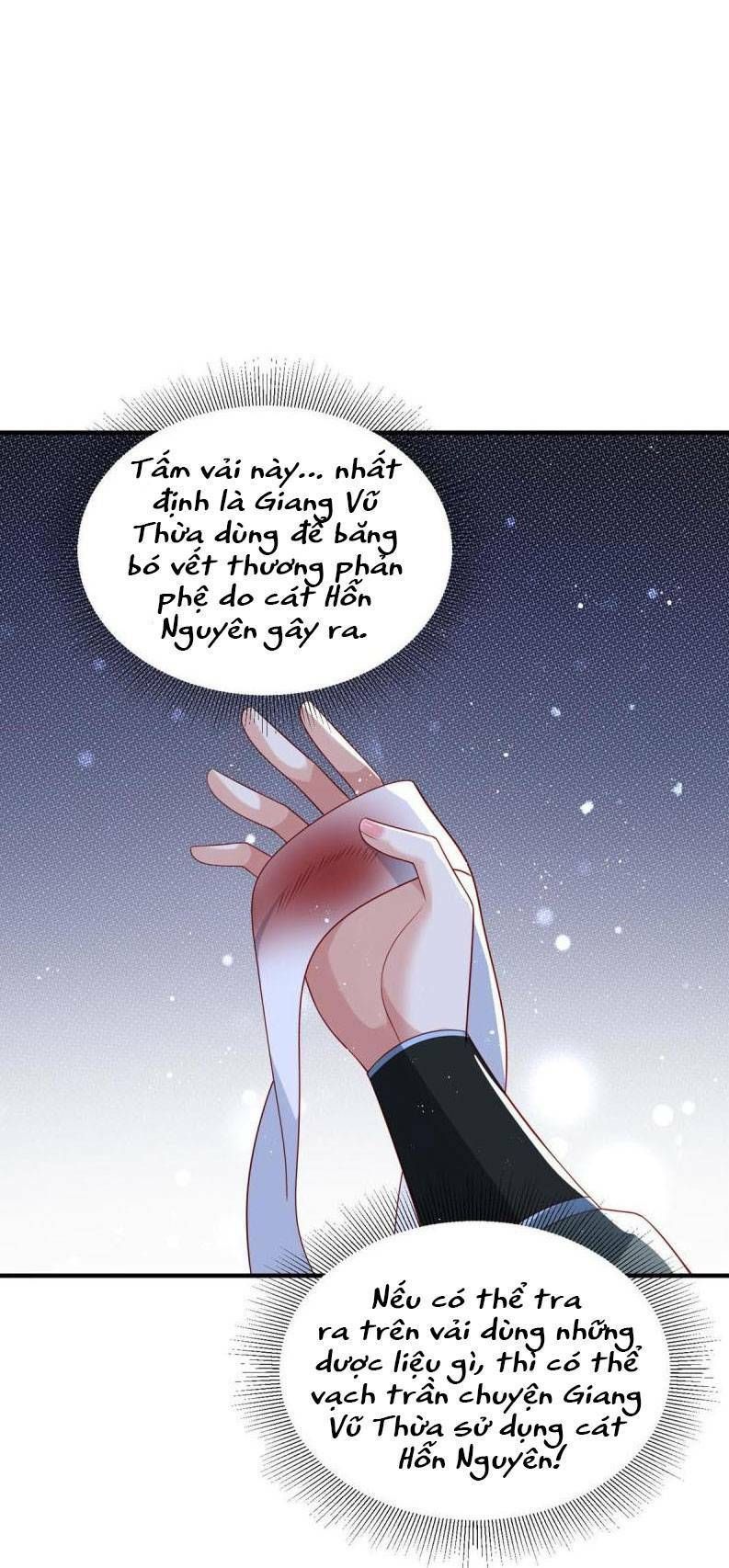 Trùng Sinh Sống Lại ! Các Hoàng Tử Ai Cũng Muốn Cưới Ta ! Chapter 71 - 22