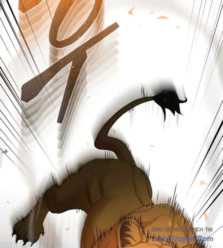 Thiên Tài Của Dòng Dõi Độc Nhất Vô Nhị Chapter 109 - 14