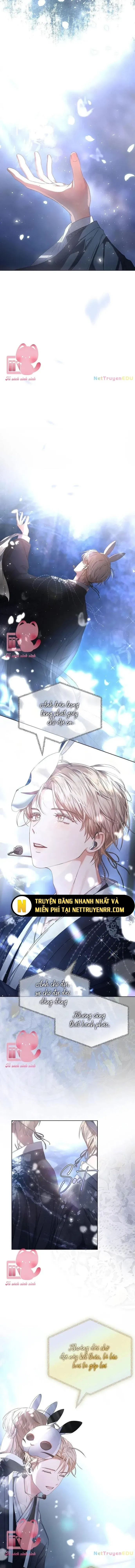 Ra Mắt Hay Ra Đi Chapter 45 - 11