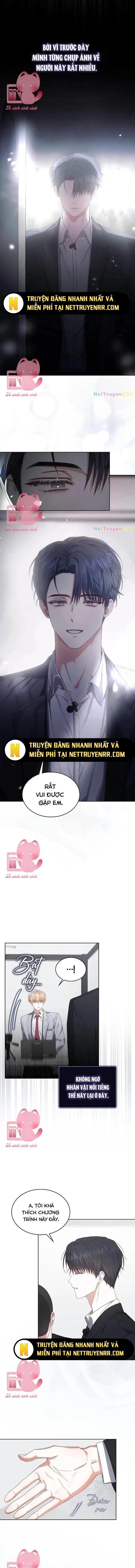 Ra Mắt Hay Ra Đi Chapter 51 - 10