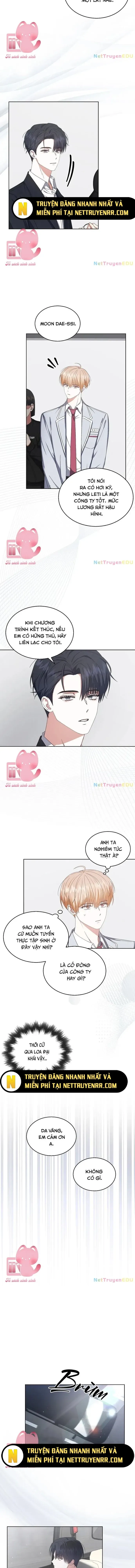 Ra Mắt Hay Ra Đi Chapter 52 - 10