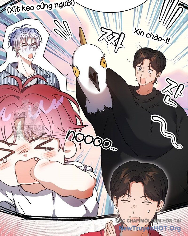 Ra Mắt Hay Ra Đi Chapter 80 - 88