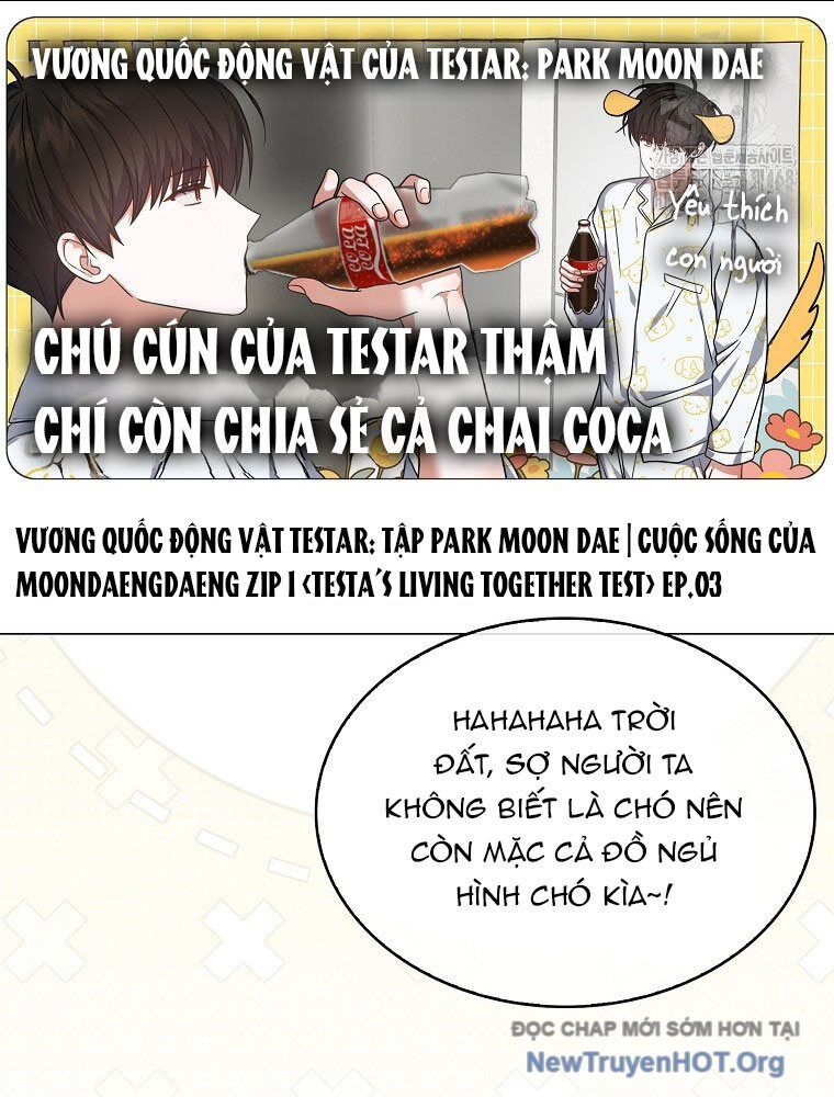 Ra Mắt Hay Ra Đi Chapter 81 - 17