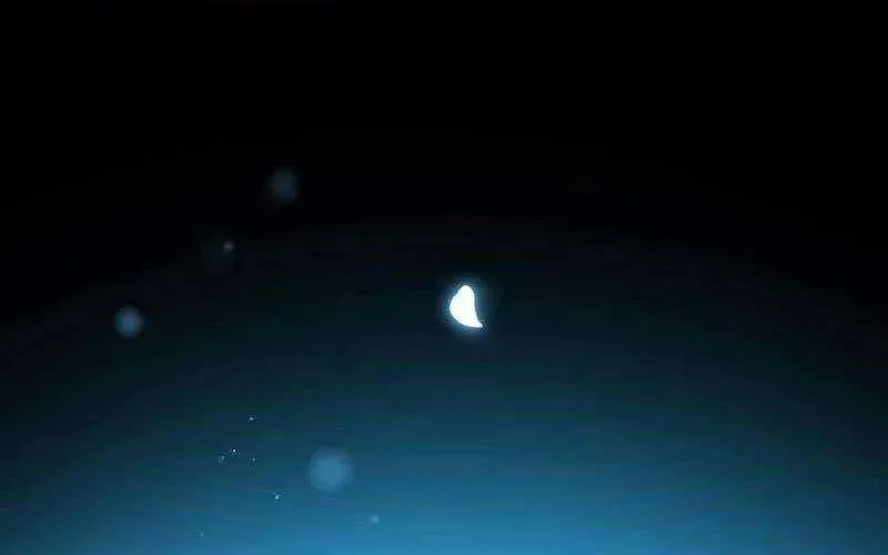 Hồi Quy Trở Thành Mạo Hiểm Giả Mạnh Nhất Nhờ Class Ẩn Điều Khiển Trọng Lực Chapter 66 - 129