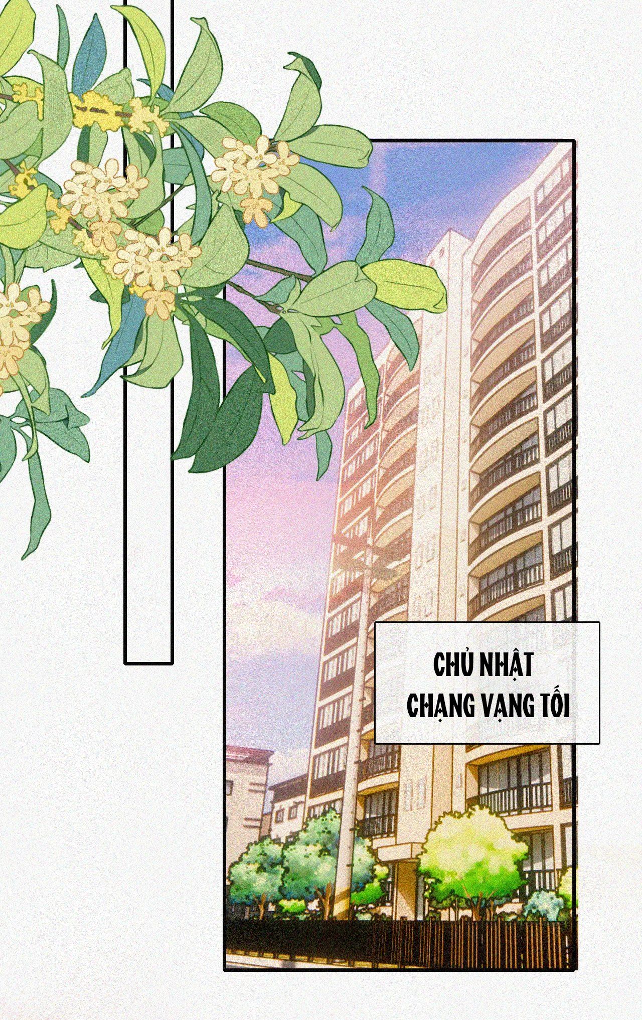 Bá Vương Sủng Ái Cô Vợ Mù Chapter 49.2 - 3