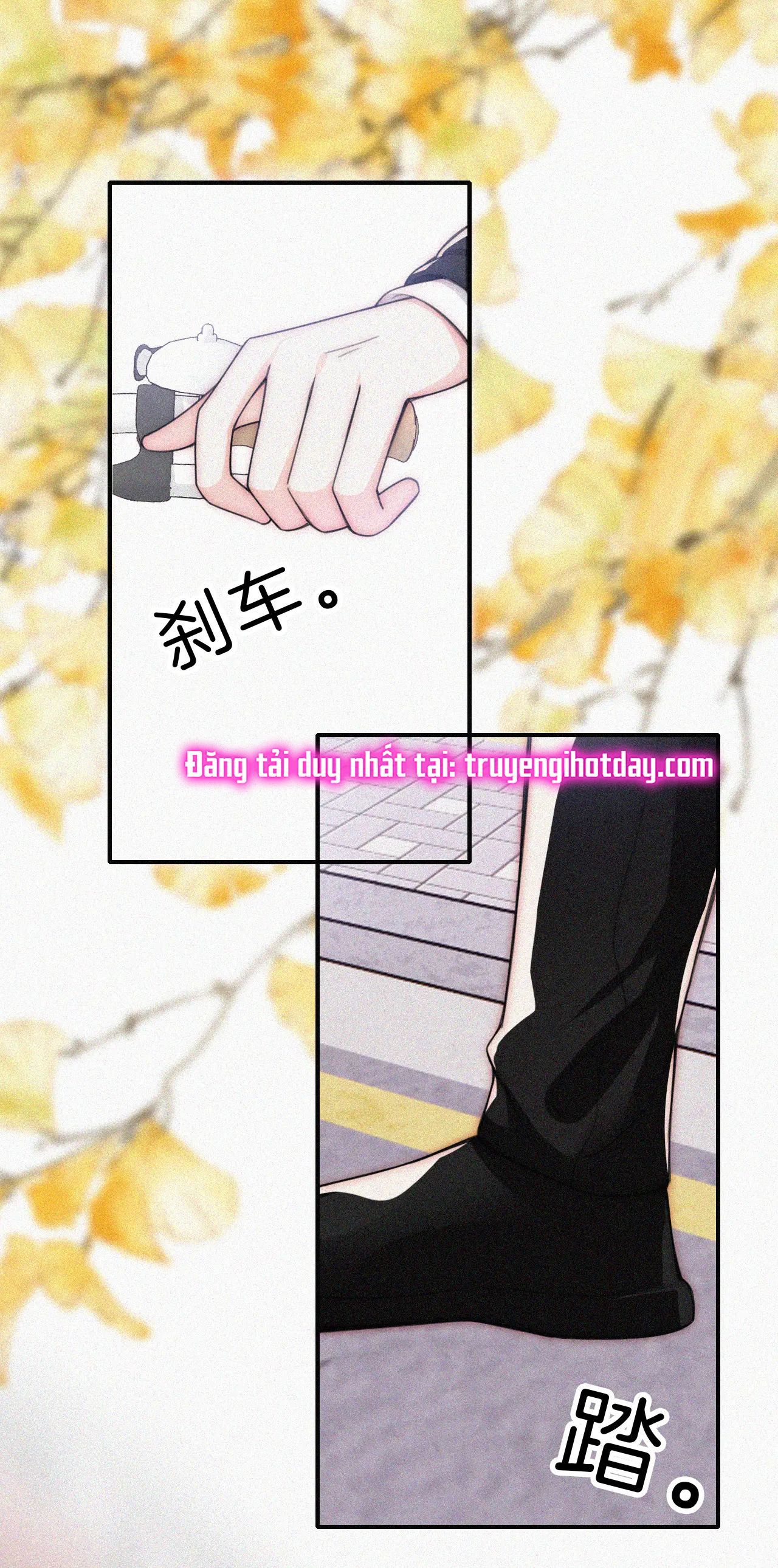 Bá Vương Sủng Ái Cô Vợ Mù Chapter 50.2 - 23