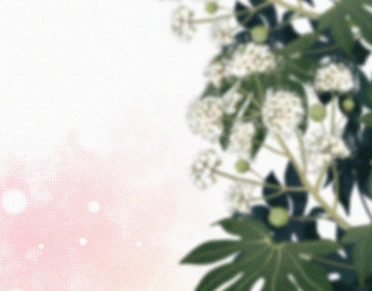 Bá Vương Sủng Ái Cô Vợ Mù Chapter 78.2 - 4