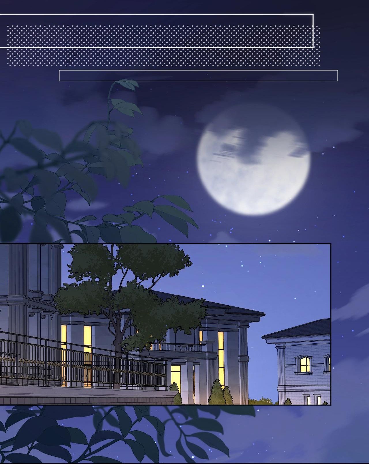 Bá Vương Sủng Ái Cô Vợ Mù Chapter 79.5 - 8