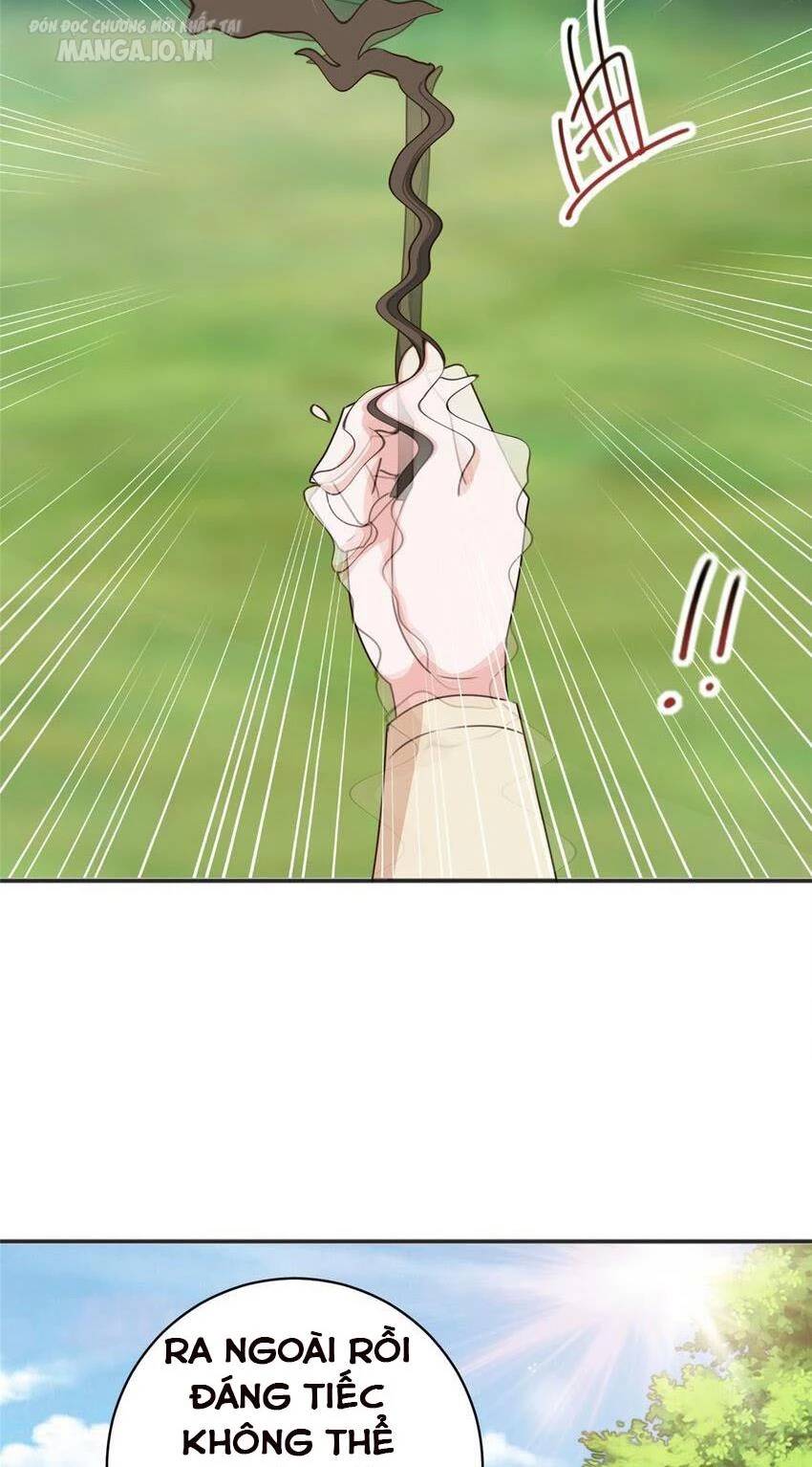 Lão Ba Cho Tôi Lựa Một Trong Mười Nữ Thần Để Kết Hôn Chapter 94 - 13