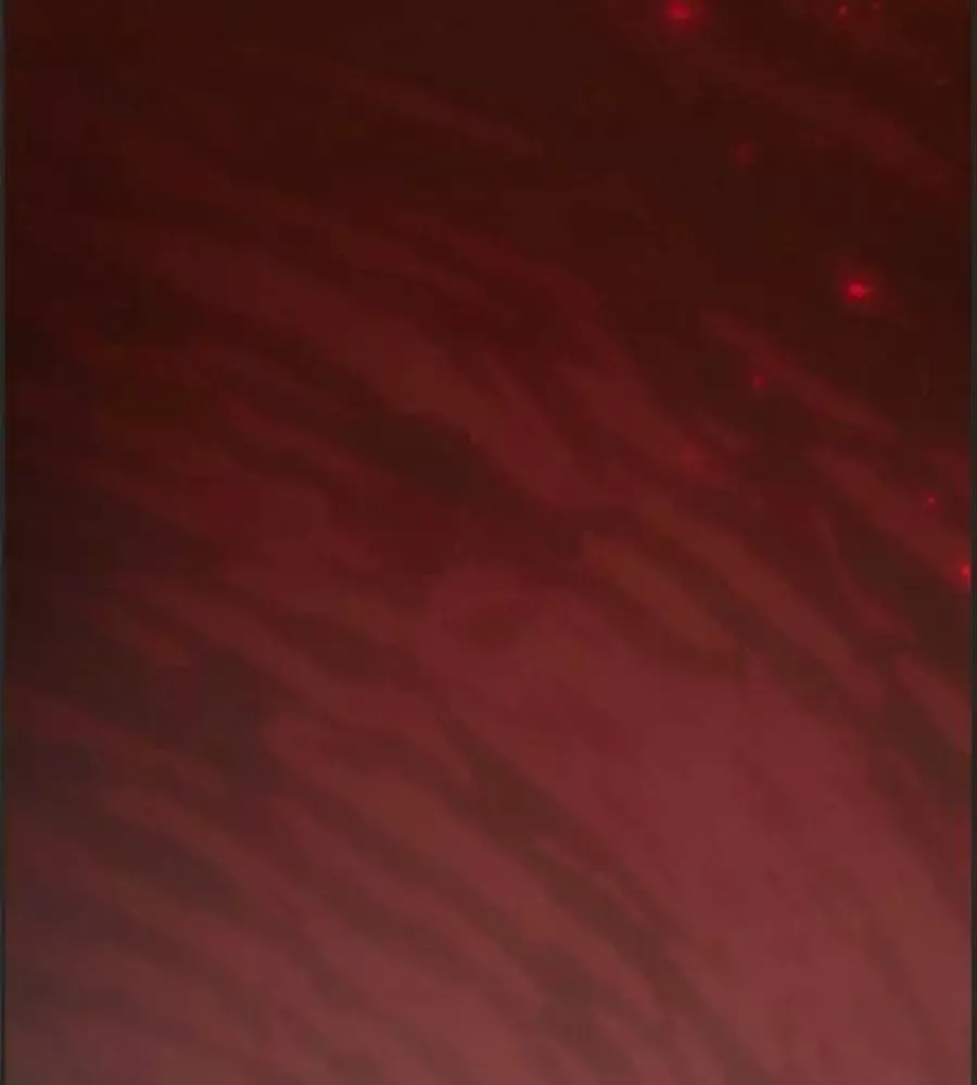 Cô Con Gái Thật Sự Đã Xuất Hiện Chapter 80 - 65