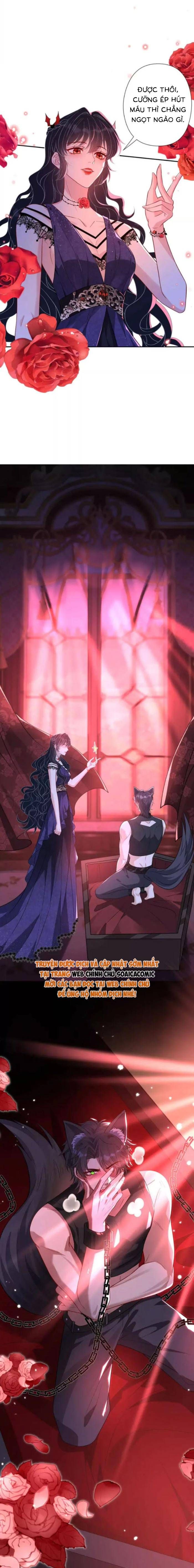 Thiên Kim Toàn Năng Đại Tài Chapter 2.1 - 3