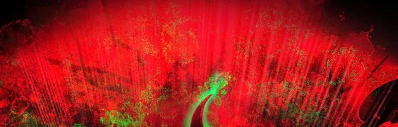 Từ Hồng Nguyệt Khai Thủy Chapter 185 - 50