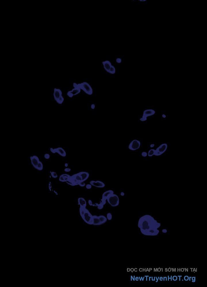 Giả Vờ Làm Kẻ Vô Dụng Ở Học Đường Chapter 120 - 57