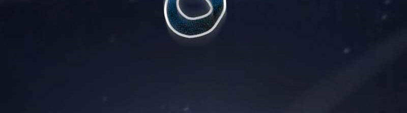 Giả Vờ Làm Kẻ Vô Dụng Ở Học Đường Chapter  77 - 14