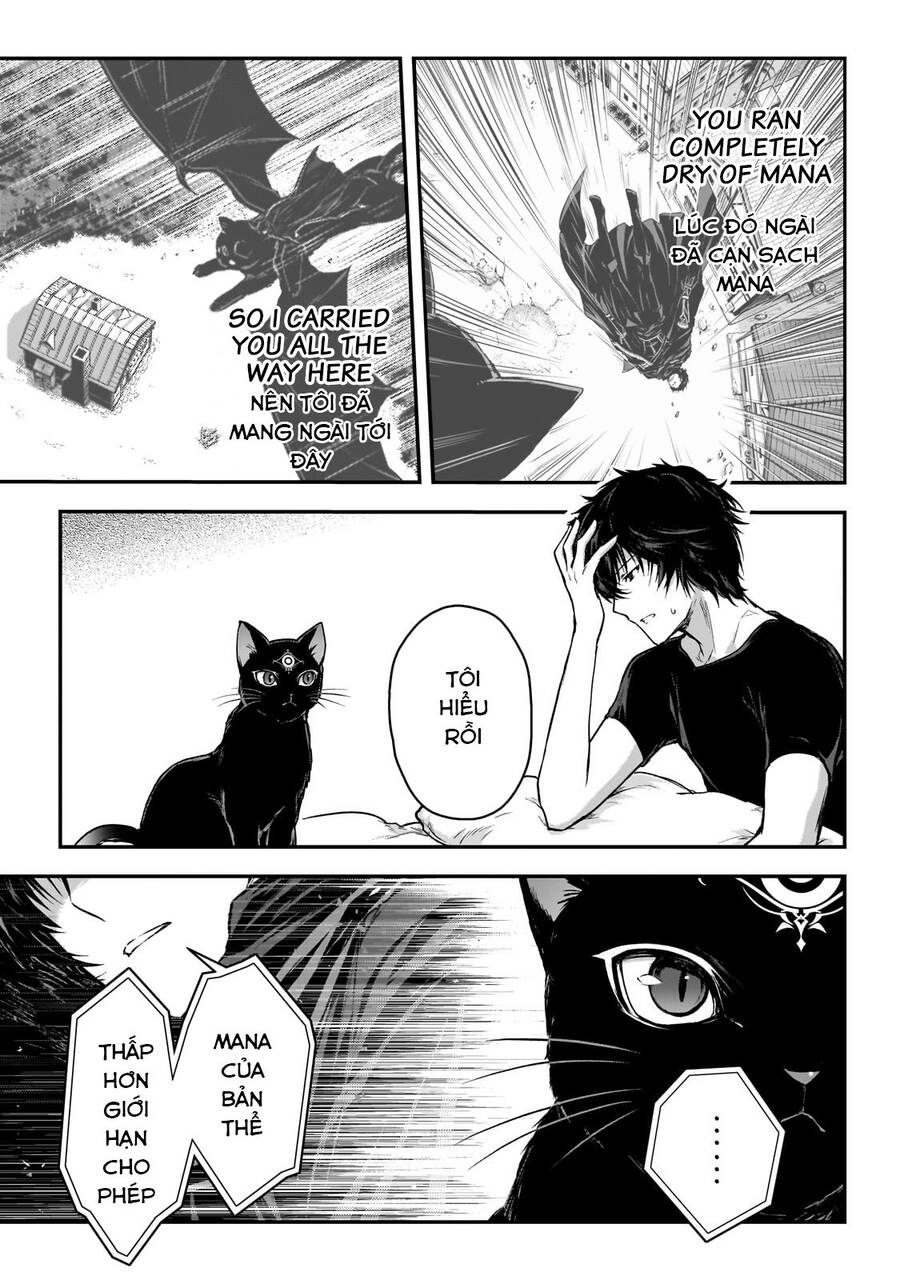 Là Sát Thủ, Nhưng Tôi Còn Mạnh Hơn Cả Anh Hùng Chapter 30 - 19