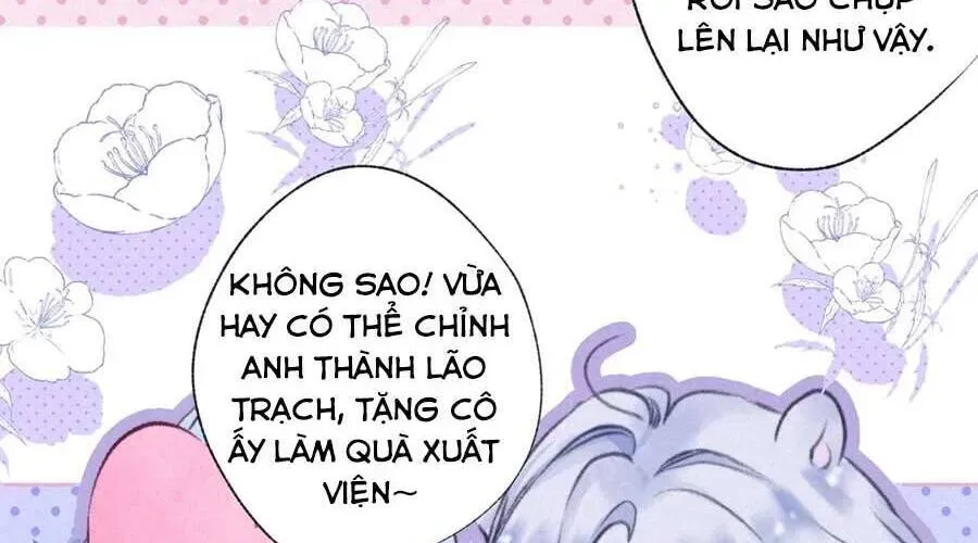 Bạn Gái Tôi Ấm Áp Tựa Như Xương Rồng Nở Hoa Chapter 72 - 131