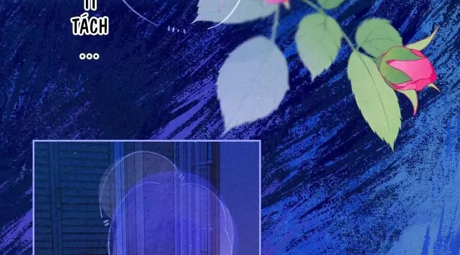 Bạn Gái Tôi Ấm Áp Tựa Như Xương Rồng Nở Hoa Chapter 72 - 42