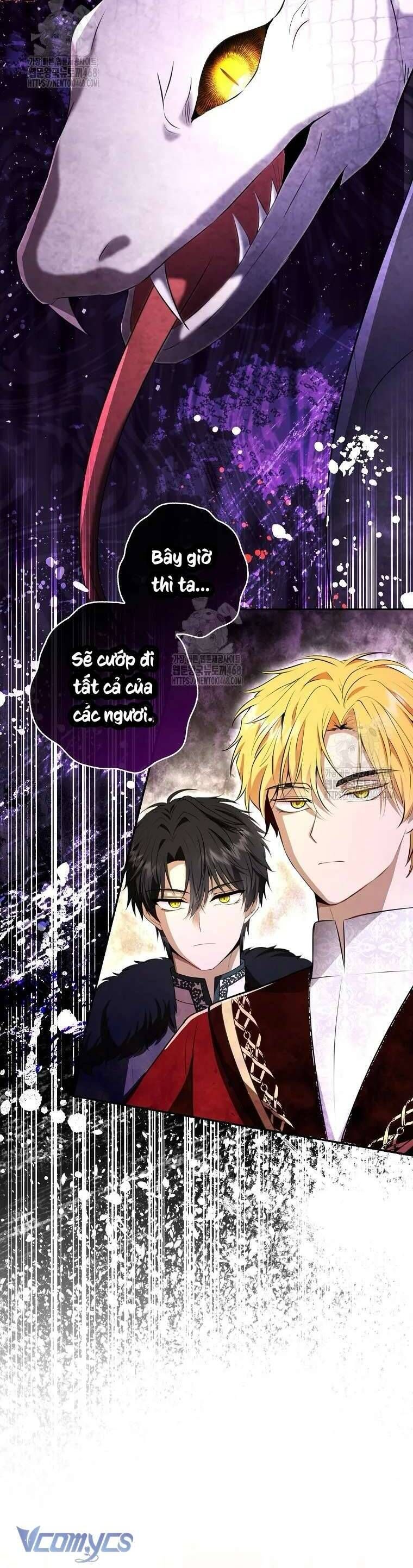 Sóc Con Tài Năng Chapter 117 - 41