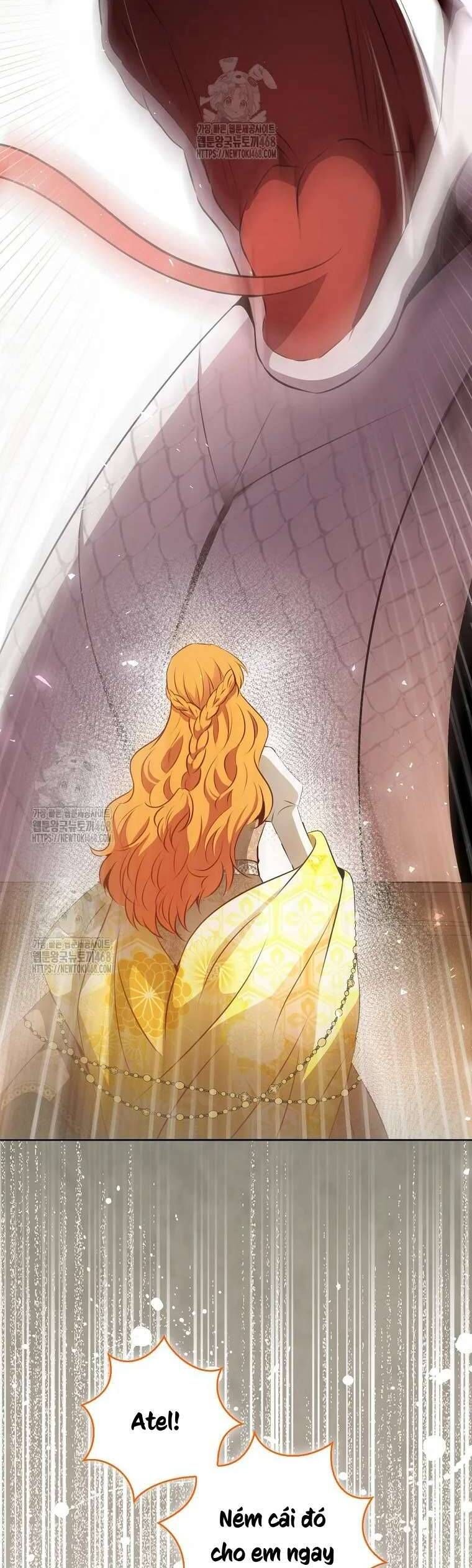 Sóc Con Tài Năng Chapter 117 - 43