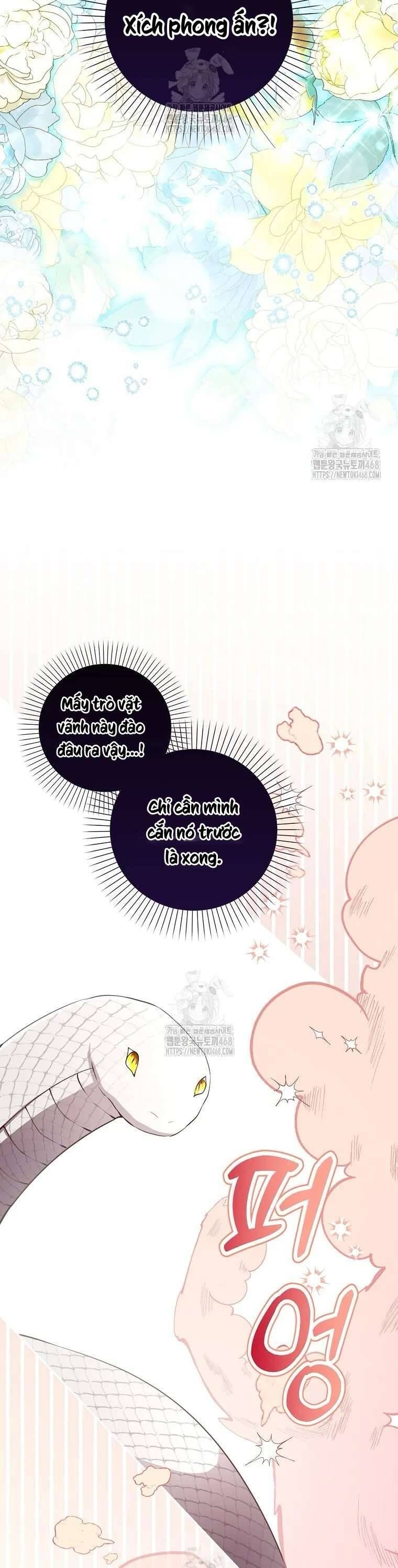Sóc Con Tài Năng Chapter 117 - 47