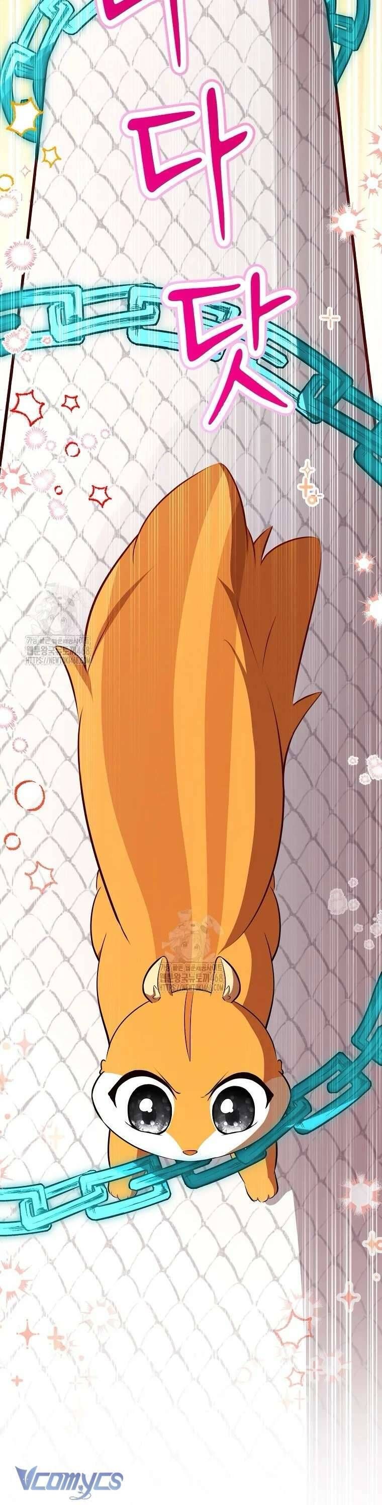 Sóc Con Tài Năng Chapter 117 - 49