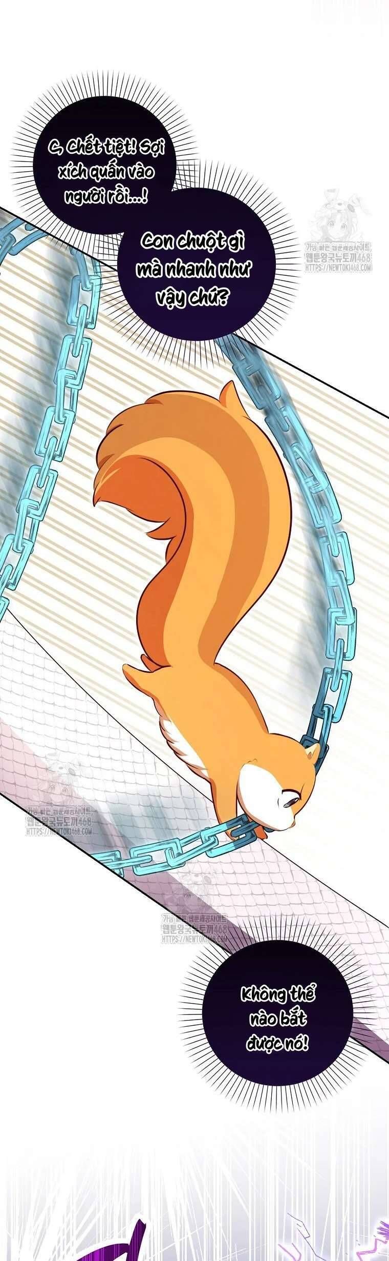 Sóc Con Tài Năng Chapter 117 - 50