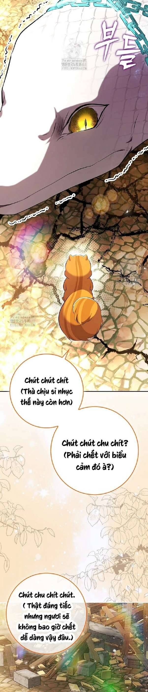 Sóc Con Tài Năng Chapter 117 - 55