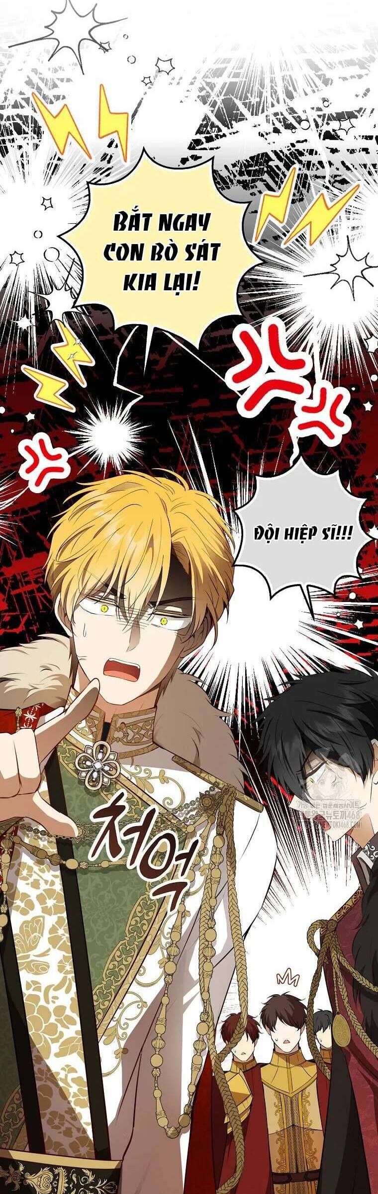 Sóc Con Tài Năng Chapter 119 - 44