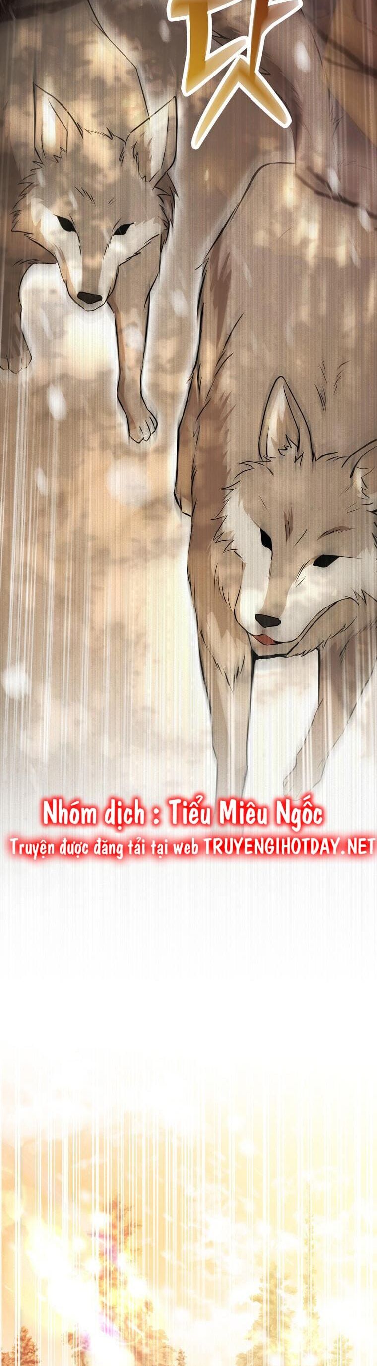 Sóc Con Tài Năng Chapter 61 - 24