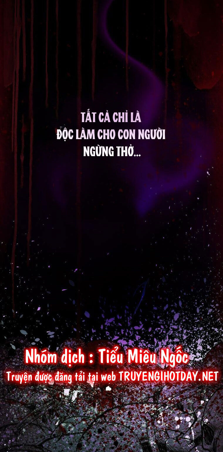 Sóc Con Tài Năng Chapter 66 - 24