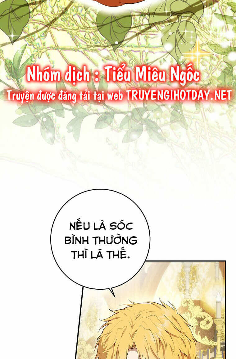 Sóc Con Tài Năng Chapter 73 - 62
