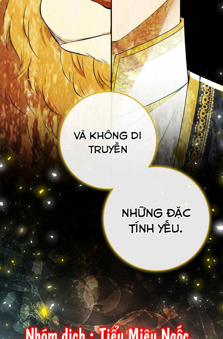 Sóc Con Tài Năng Chapter 73 - 70