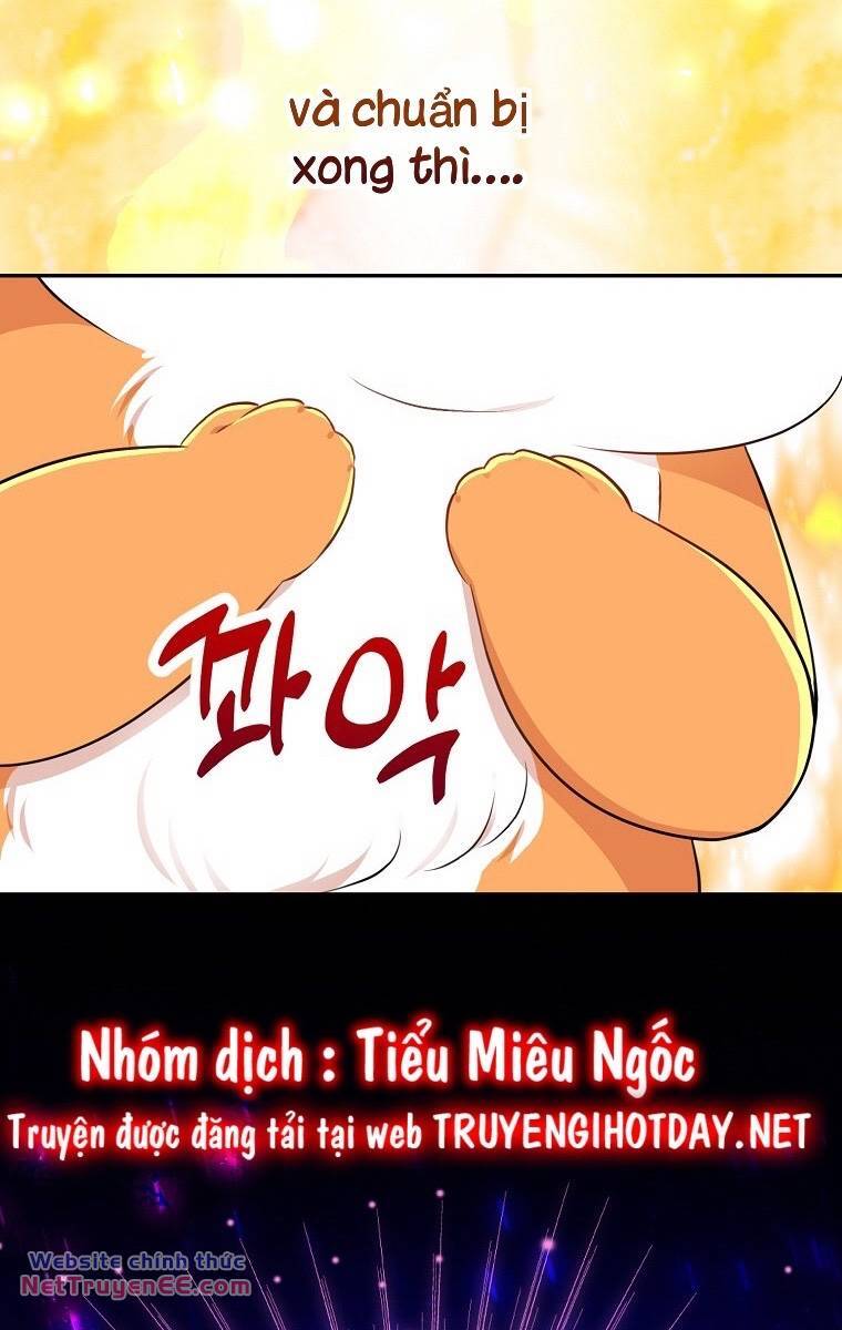 Sóc Con Tài Năng Chapter 74 - 36