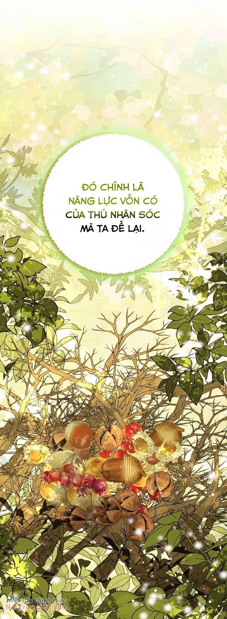 Sóc Con Tài Năng Chapter 74 - 42