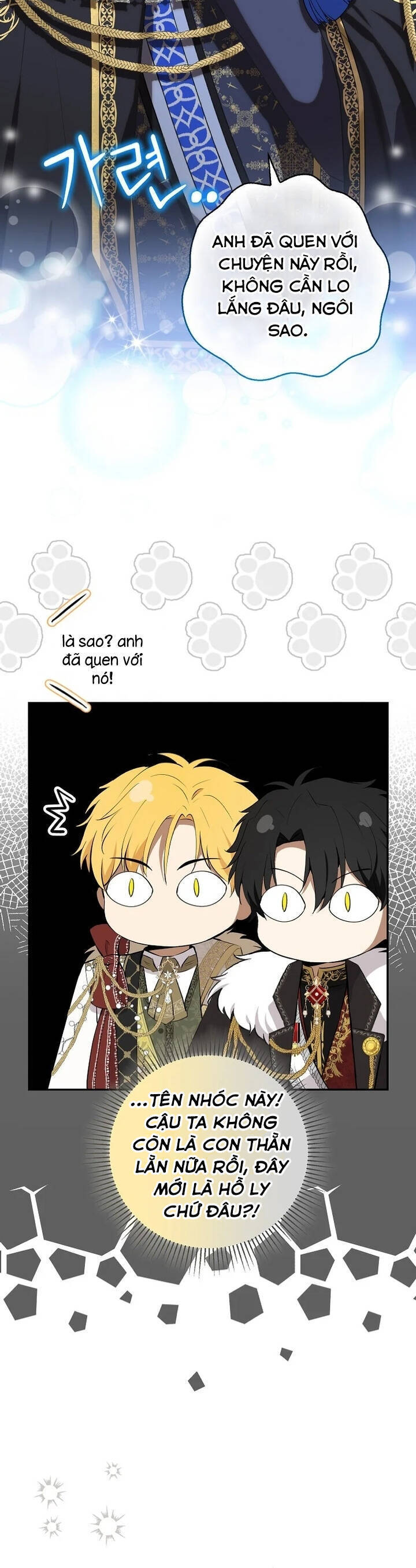 Sóc Con Tài Năng Chapter 84 - 41