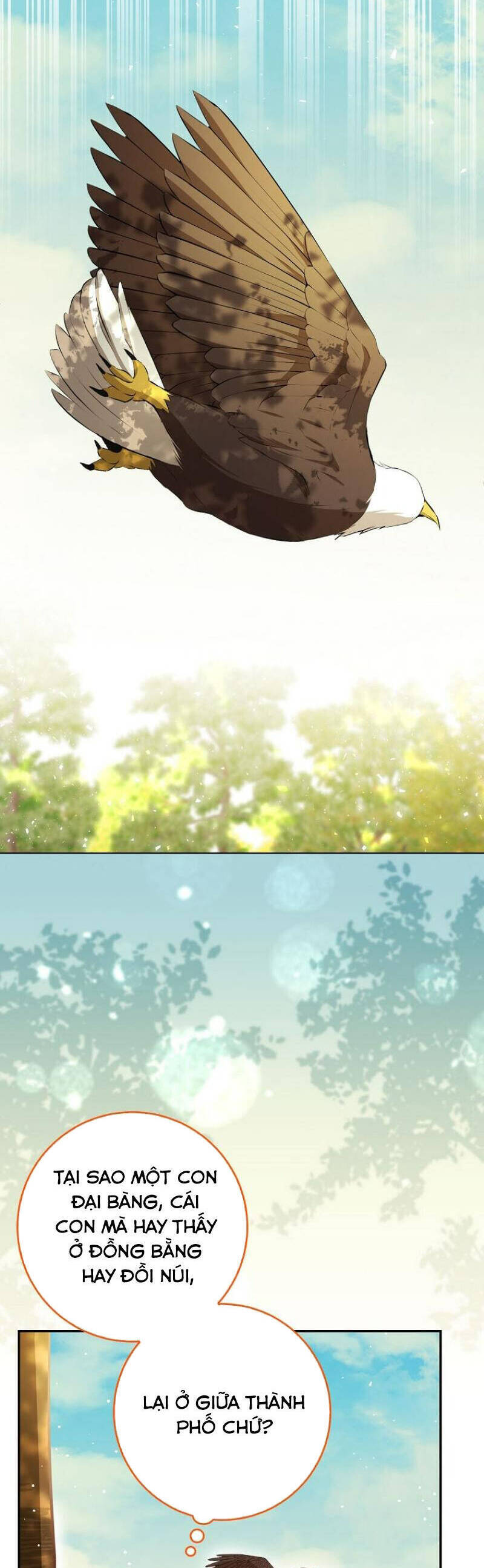 Sóc Con Tài Năng Chapter 90 - 32