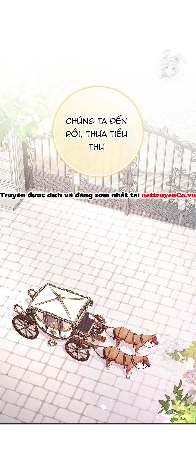 Anh Chỉ Là Đồ Bỏ Đi Của Tôi Mà Thôi Chapter 77 - 8