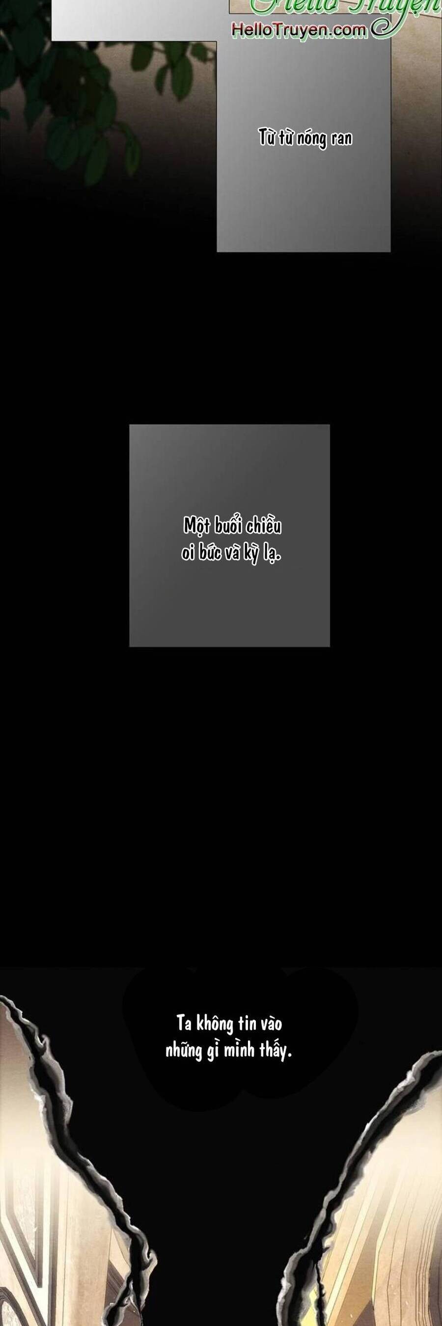 Chàng Hoàng Tử Này Có Vấn Đề Chapter 25.2 - 5