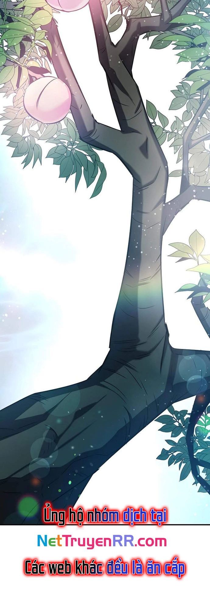 Tăng Lực Thợ Săn Chapter 52 - 50