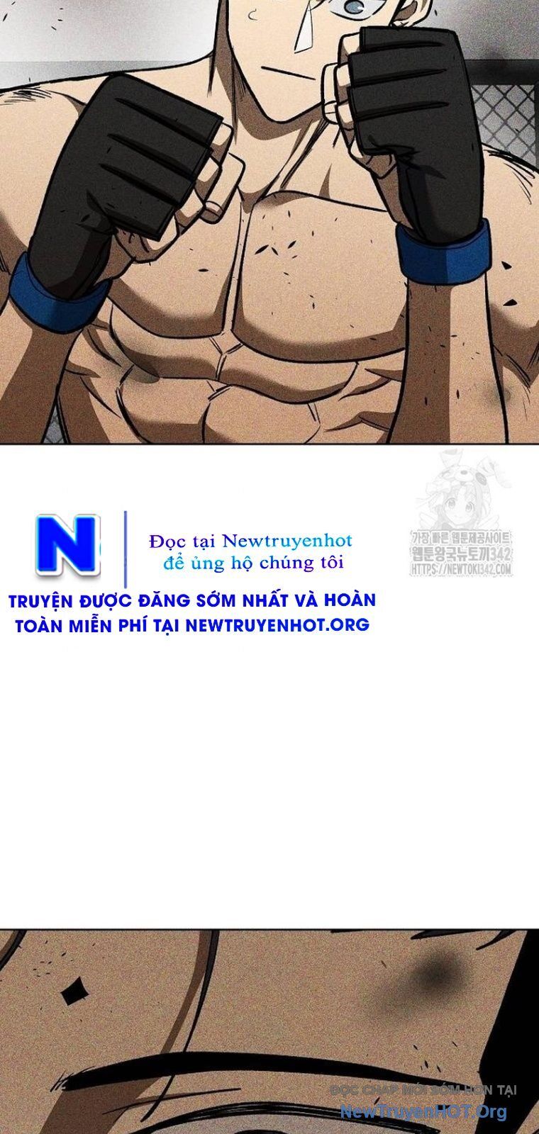 Vua Võ Đài Chapter 127 - 17