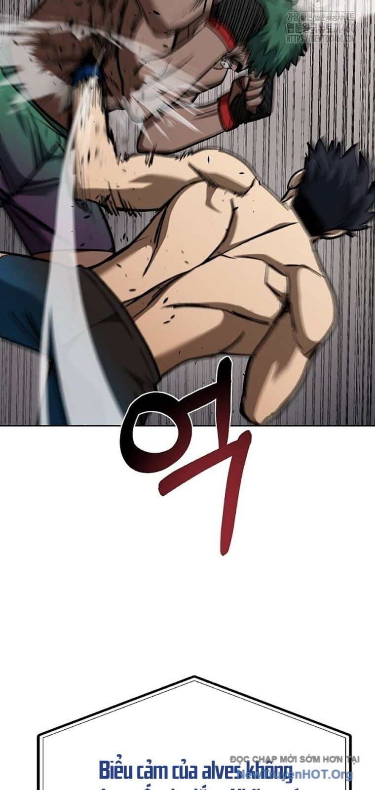 Vua Võ Đài Chapter 132 - 46