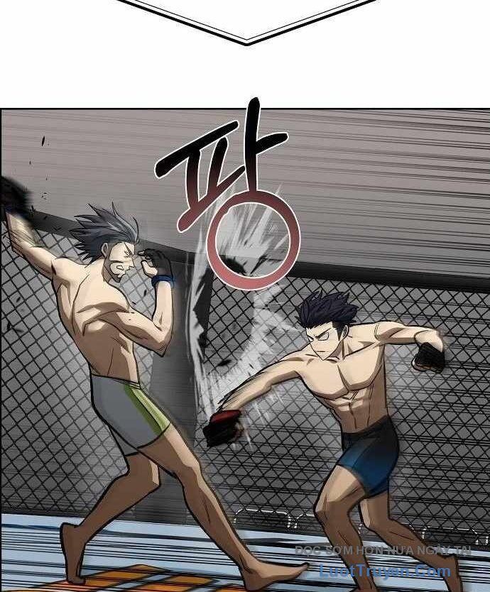 Vua Võ Đài Chapter 146 - 15