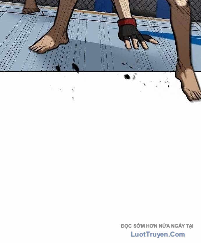 Vua Võ Đài Chapter 146 - 28