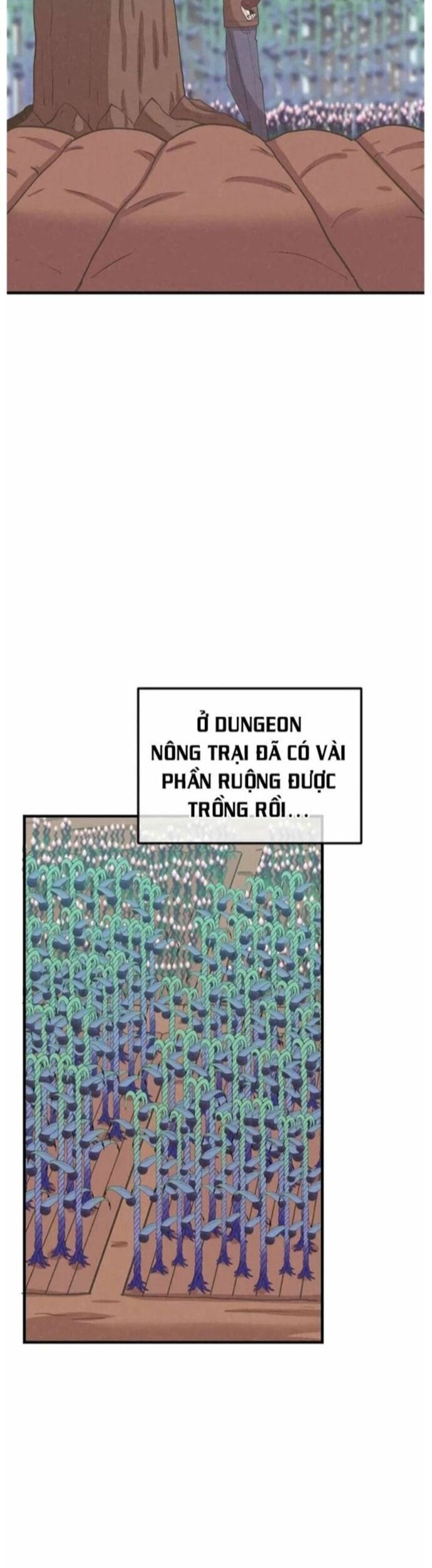Nông Dân Linh Hồn Chapter 176 - 38