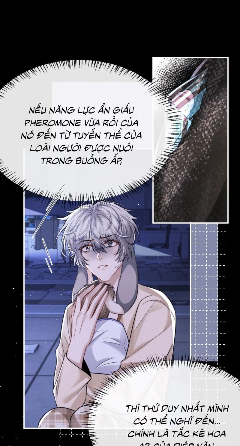 Chấp Sự Thỏ Cụp Tai Chapter 170 - 9